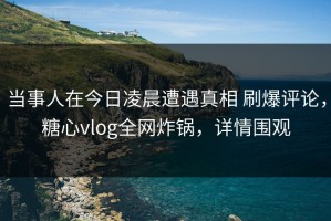 当事人在今日凌晨遭遇真相 刷爆评论，糖心vlog全网炸锅，详情围观