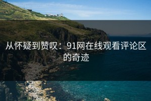 从怀疑到赞叹：91网在线观看评论区的奇迹