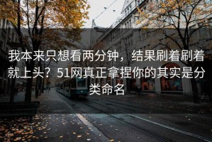 我本来只想看两分钟，结果刷着刷着就上头？51网真正拿捏你的其实是分类命名