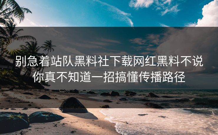 别急着站队黑料社下载网红黑料不说你真不知道一招搞懂传播路径