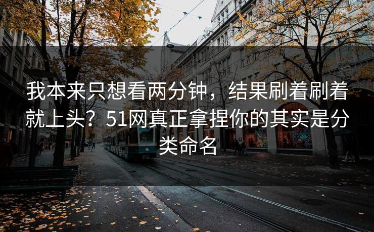 我本来只想看两分钟，结果刷着刷着就上头？51网真正拿捏你的其实是分类命名