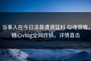 当事人在今日凌晨遭遇猛料 勾魂摄魄，糖心vlog全网炸锅，详情直击