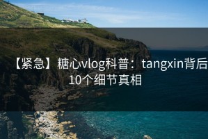 【紧急】糖心vlog科普：tangxin背后10个细节真相