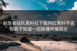 别急着站队黑料社下载网红黑料不说你真不知道一招搞懂传播路径
