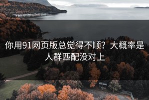 你用91网页版总觉得不顺？大概率是人群匹配没对上